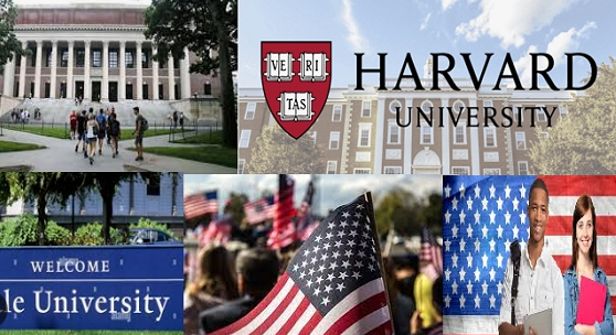 Top 10 Universities in USA Offering Fully Funded Admission
